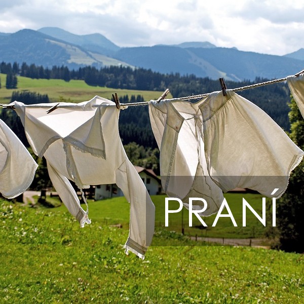 dd_1_prani_text