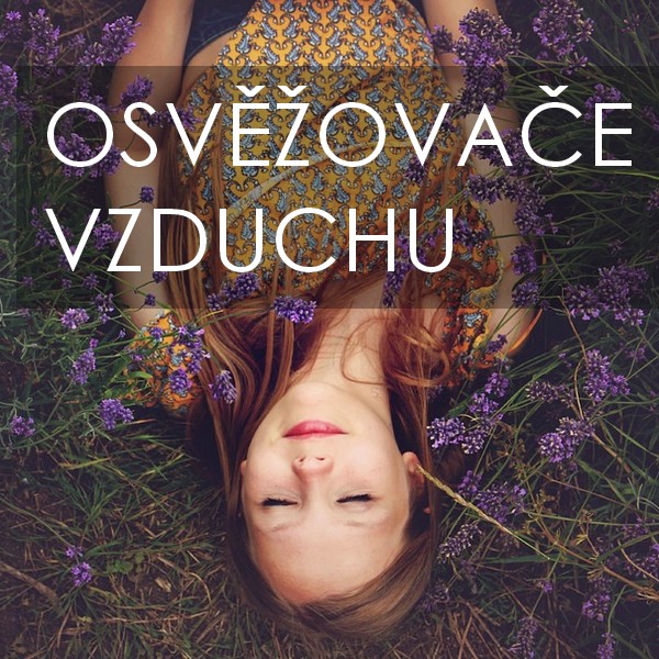 dd_6_osvezovace_vzduchu_text